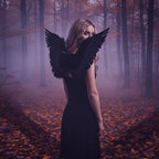 Adults Small Black Feather Angel Wings Wing Span 36x60cm - Why Not Shop