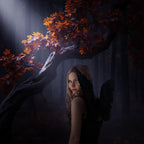 Adults Small Black Feather Angel Wings Wing Span 36x60cm - Why Not Shop