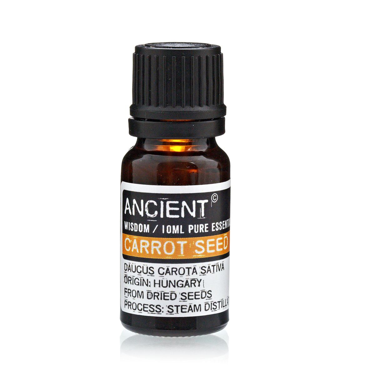 10 ml Carrot Seed Essential Oil | Merthyr Tydfil | Why Not Shop Online