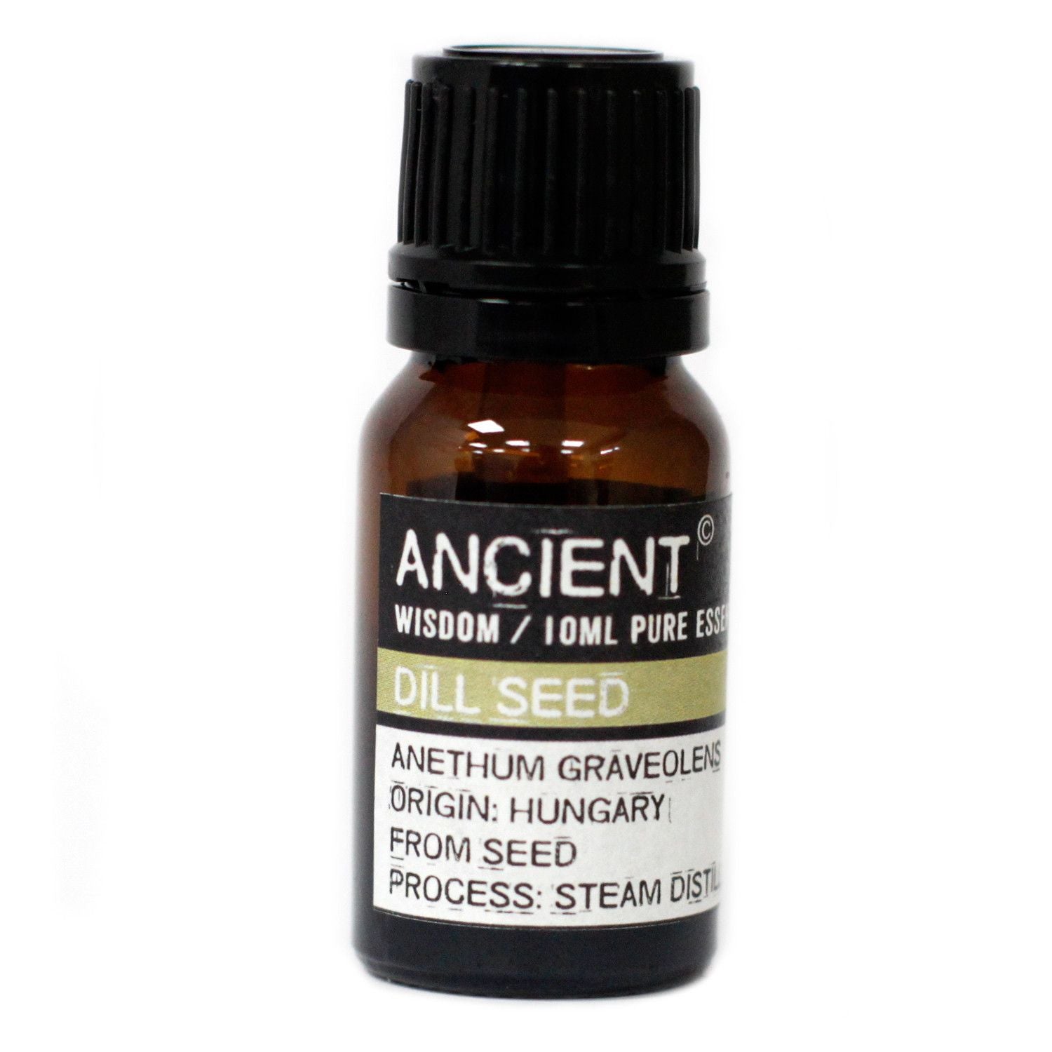 10 ml Dill Seed Essential Oil | Merthyr Tydfil | Why Not Shop Online
