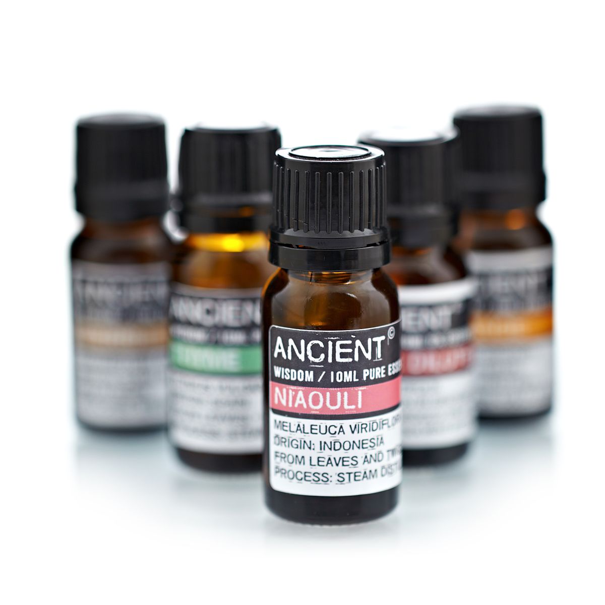 10 ml Niaouli Essential Oil | Merthyr Tydfil | Why Not Shop Online