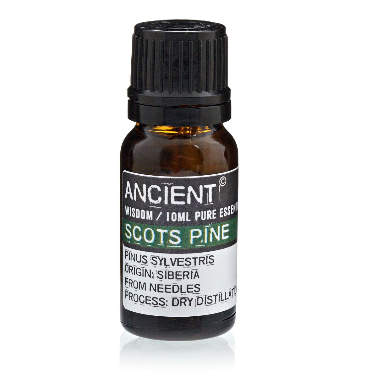 10 ml Pine Sylvestris Scots Pine Essential Oil | Merthyr Tydfil | Why Not Shop Online