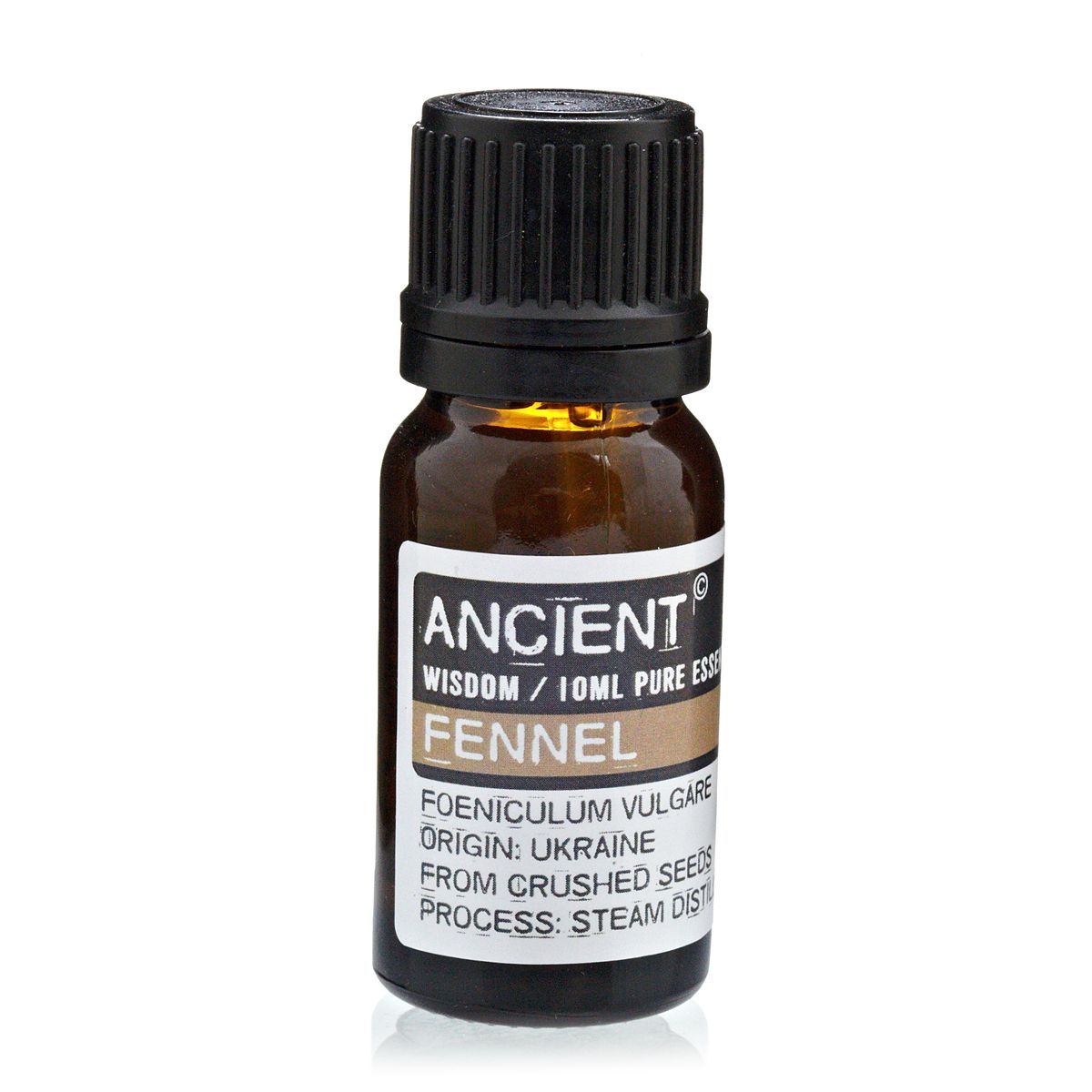 10 ml Fennel Essential Oil | Merthyr Tydfil | Why Not Shop Online