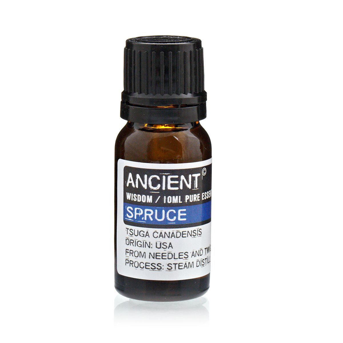 10 ml Spruce Essential Oil | Merthyr Tydfil | Why Not Shop Online