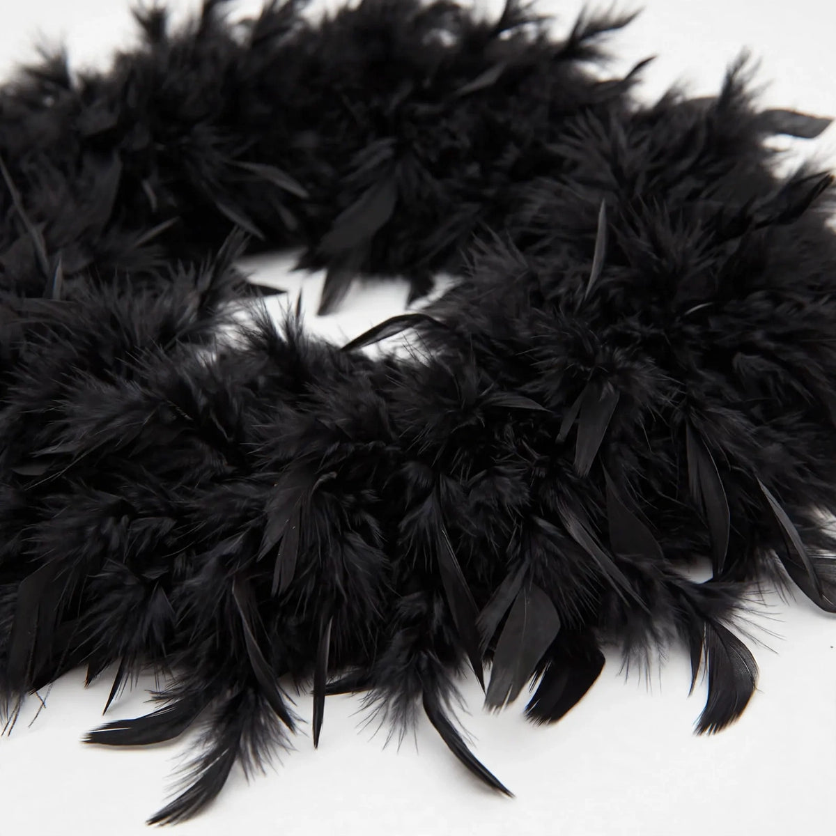 Close-up view of black feather texture on the 1.7 metre boa