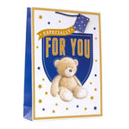 Bear Gift Bag Medium Multi-Coloured 9x7"
