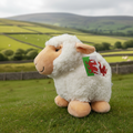 Sally the Sheep Welsh plush toy on countryside background - premium product shot