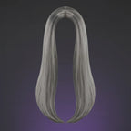 Wicked Costumes Women's Classic Long Dark Grey Wig - Why Not Shop