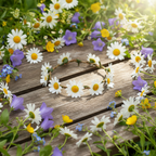 Daisy hairband resting on wooden surface surrounded by fresh daisies and wildflowers in a sunny garden