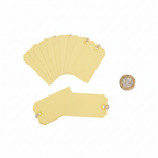 Flat lay of 10 pale yellow manilla tie-on luggage labels spread out beside a £1 coin to show 60mm x 120mm size, white background