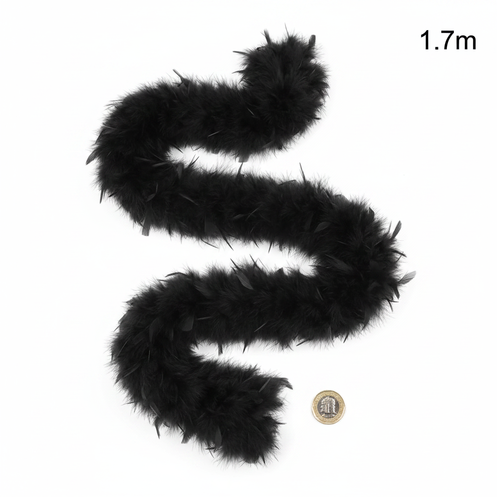 Black feather boa flat lay beside a UK £1 coin to show scale, 1.7m length labelled, white background