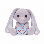 Swizzels Love Heart It's A Boy 18cm soft plush bunny toy on white background, perfect newborn baby boy gift