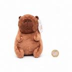 Cuddly Capybara plush toy 15cm flat lay beside a £1 coin to show scale