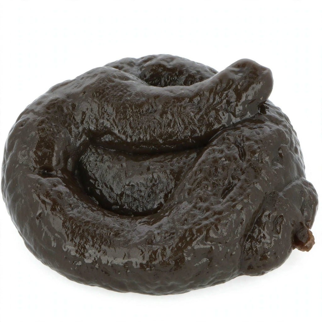 Joke Sticky Poo with realistic fake poo and sticky base