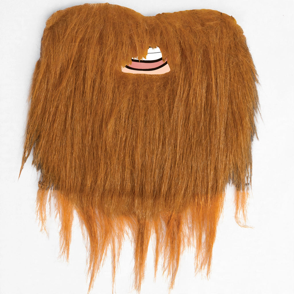 Close-up view of mens brown fancy dress beard
