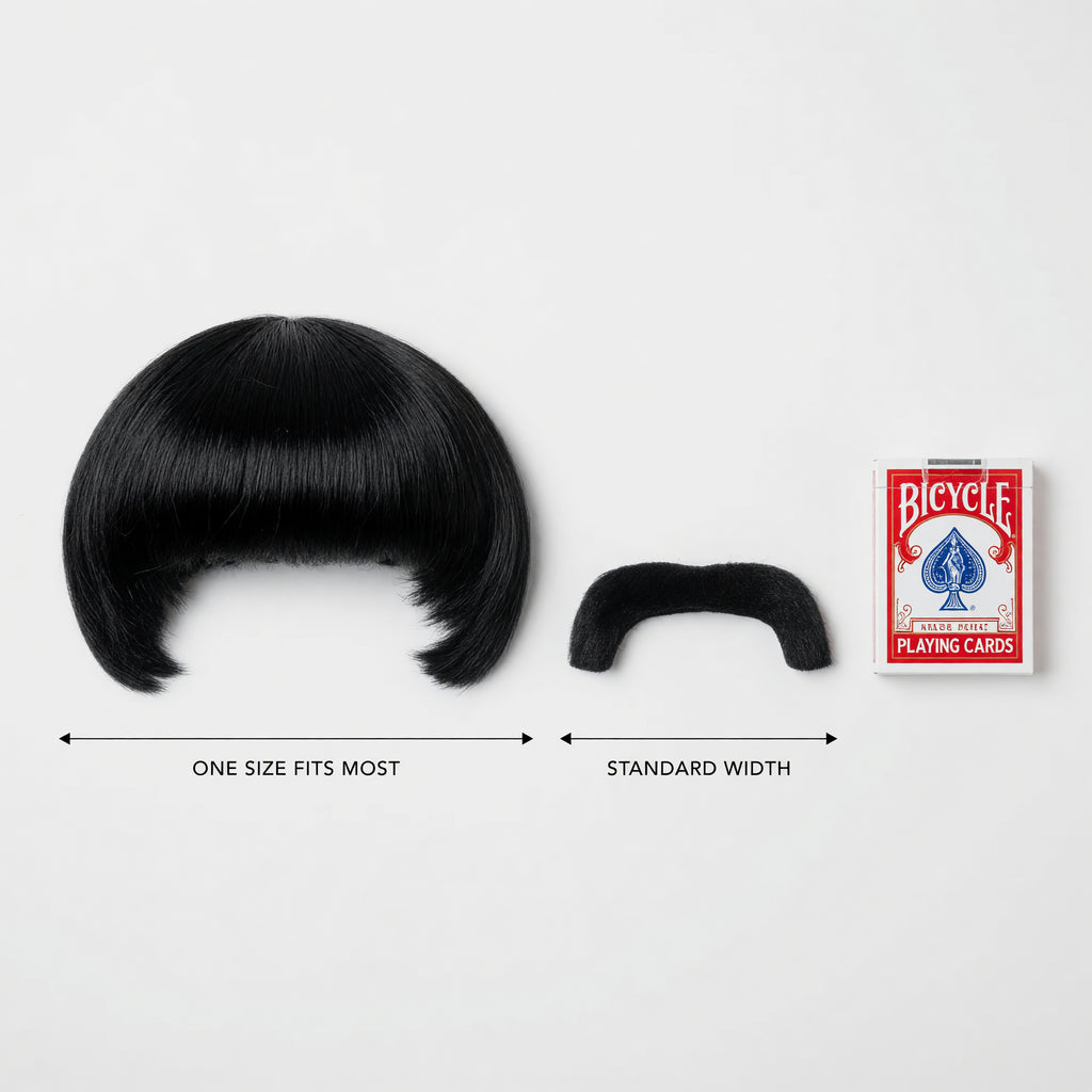 Mens 1960s Pop Icon Wig & Moustache – product image 3