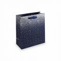 Navy Ombre Medium Gift Bag with fade from deep midnight navy to soft hues