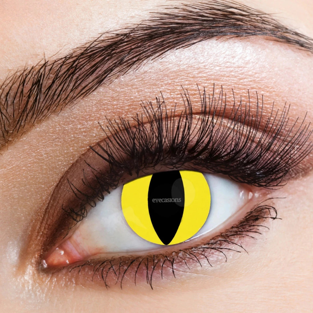 Eyecasions yellow and black cat-eye Halloween contact lenses for one day use