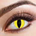 Eyecasions yellow and black cat-eye Halloween contact lenses for one day use