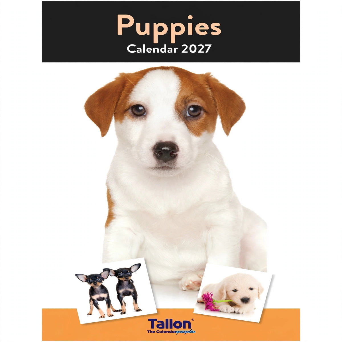 Close-up view of Puppies And Dogs Slim 2027 Calendar showing dates and dog images