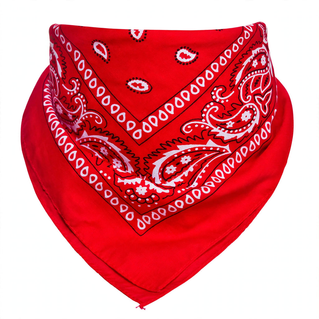 Close-up of red and white paisley pattern on polyester bandana