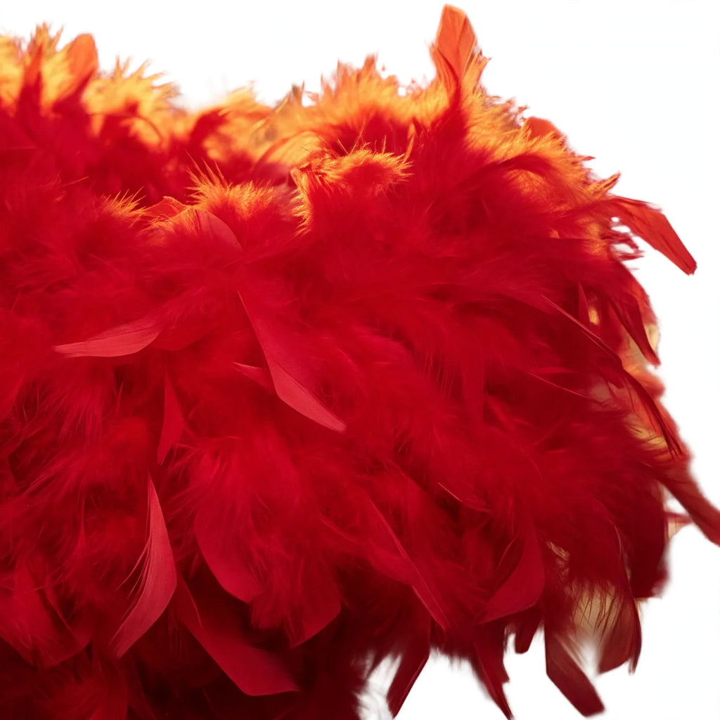 Close-up view of red feathers on the 1.7 metre feather boa