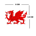 Wales Welsh Dragon Tattoos For Face And Body Red And White